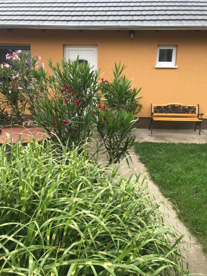 Dália apartman Gyömrő Gyomro Exterior foto